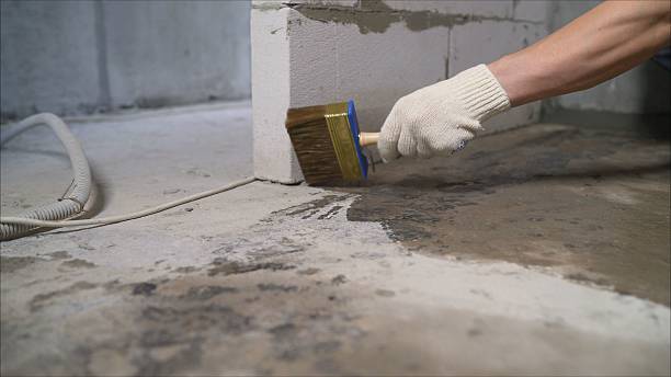 SJ Waterproofing Pros Exterior Waterproofing coverage map for Munith, MI and surrounding area